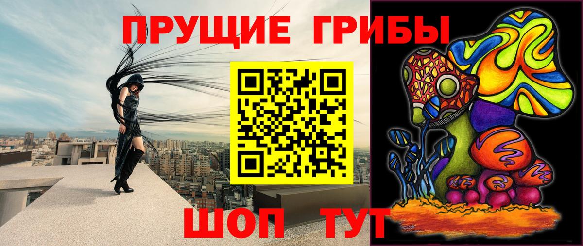 Галлюциногенные грибы MAGIC MUSHROOMS Отрадное